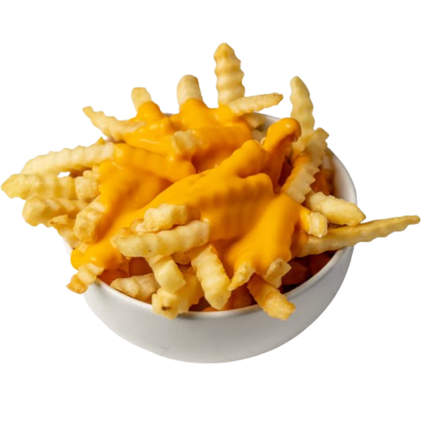 Cheese Fries Appetizers